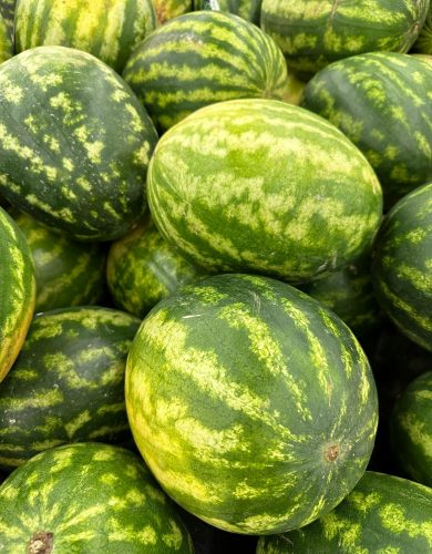 pexels photo 18688799 18688799 Vibrant pile of fresh watermelons exhibiting rich green textures, perfect for summer displays.