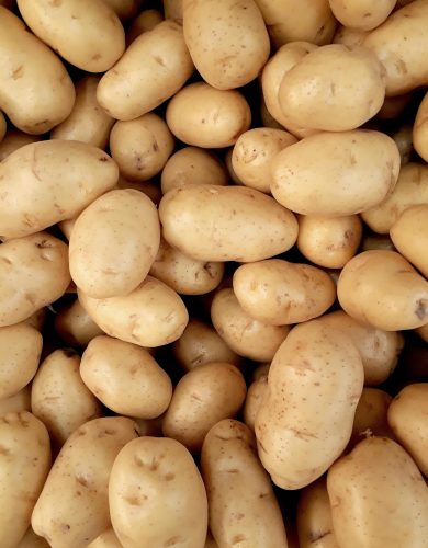 pexels photo 2286776 2286776 A close-up view of fresh organic potatoes piled together, showcasing natural texture and freshness.