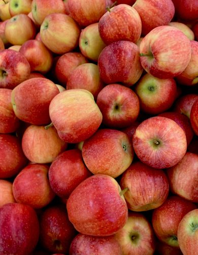 pexels photo 2966150 2966150 A vibrant pile of fresh, organic red apples showcasing their natural, delicious appeal.